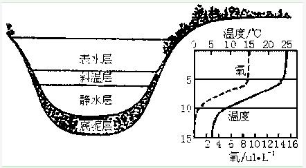 工業循環水處理 工業循環水處理