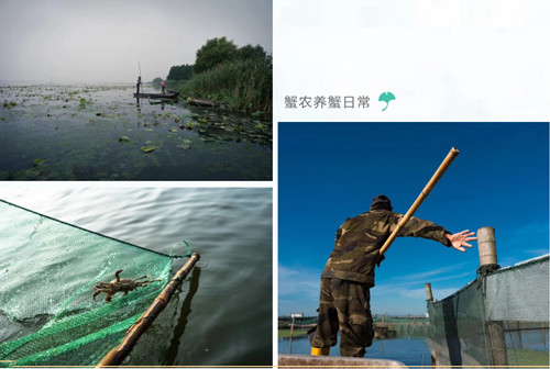 安峰環(huán)保.jpg 安峰環(huán)保.jpg