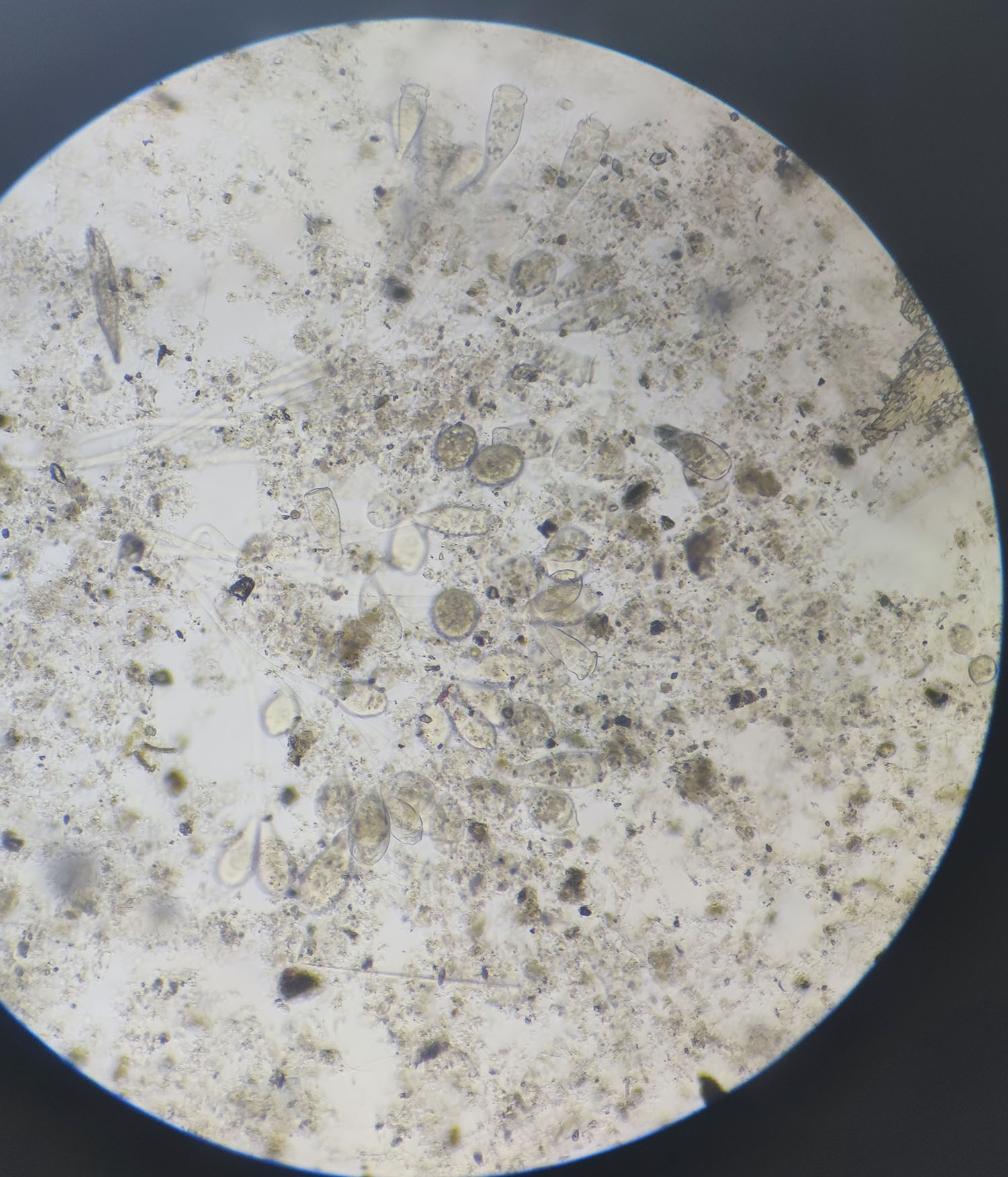 安峰環(huán)保.jpg 安峰環(huán)保.jpg