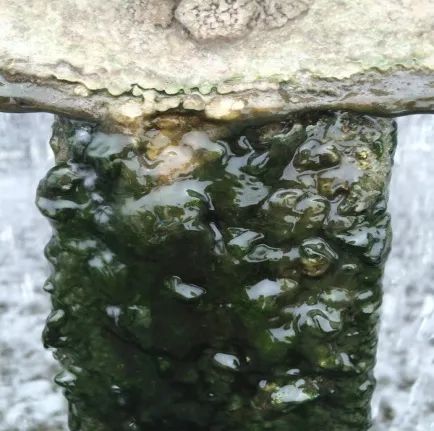 安峰環保.jpg 安峰環保.jpg