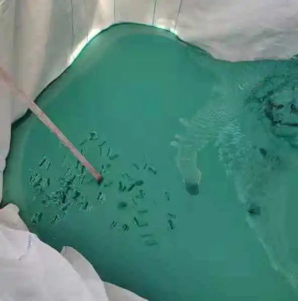 蒸發(fā)器實際出渣效果.jpg 蒸發(fā)器實際出渣效果.jpg